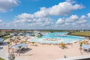 16634 Mooner Plank Cir, Wimauma, FL 33598 - Photo 23