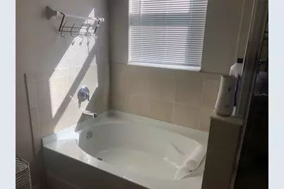 16634 Mooner Plank Circle, Wimauma, FL 33598 - Photo 19