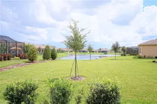 30835 Spruceberry Ct, Wesley Chapel, FL 33543 - Photo 27