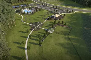 33508 Hammock Beach Way, Dade City, FL 33525 - Photo 19