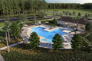 33508 Hammock Beach Way, Dade City, FL 33525 - Photo 21