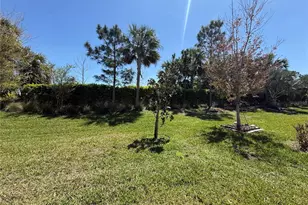 3060 Mountain Spruce Ter, Wesley Chapel, FL 33543 - Photo 45