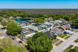 5931 Taywood Dr, Tampa, FL 33624 - Photo 33