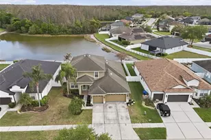 19106 Beatrice Ln, Land O Lakes, FL 34638 - Photo 69