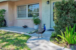 2305 Indigo Dr, Clearwater, FL 33763 - Photo 23