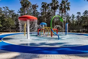 [Address not provided], Wesley Chapel, FL 33544 - Photo 51