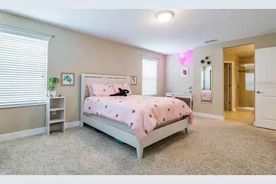 [Address not provided], Wesley Chapel, FL 33544 - Photo 29