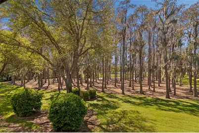 36750 US Highway 19 N #06207, Palm Harbor, FL 34684 - Photo 31