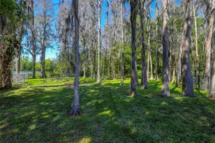 16206 Sagebrush Rd, Tampa, FL 33618 - Photo 31