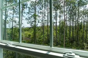 10844 Fowlers Blf Ct, Tampa, FL 33647 - Photo 35
