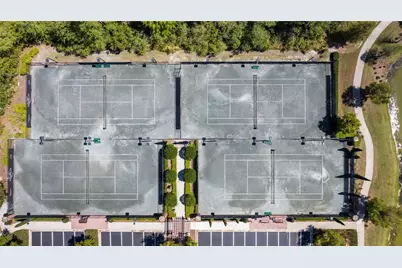 28336 Picana Lane, Wesley Chapel, FL 33543 - Photo 59