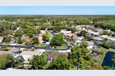 4072 Belmoor Drive, Palm Harbor, FL 34685 - Photo 83