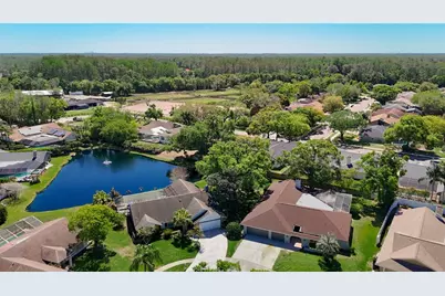 4072 Belmoor Drive, Palm Harbor, FL 34685 - Photo 81