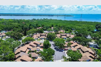 215 Lighthouse Court #40215, Safety Harbor, FL 34695 - Photo 49