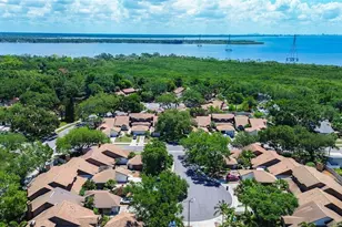 215 Lighthouse Ct, Safety Harbor, FL 34695 - Photo 49