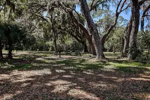 215 Lighthouse Ct, Safety Harbor, FL 34695 - Photo 35