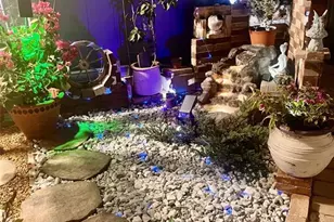 6317 Wisteria Ln, Apollo Beach, FL 33572 - Photo 51