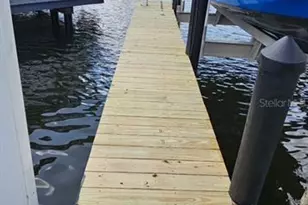 6317 Wisteria Ln, Apollo Beach, FL 33572 - Photo 55