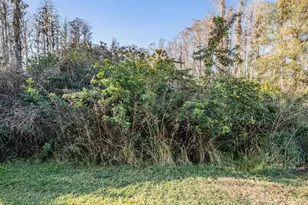 1827 Hammocks Ave, Lutz, FL 33549 - Photo 29