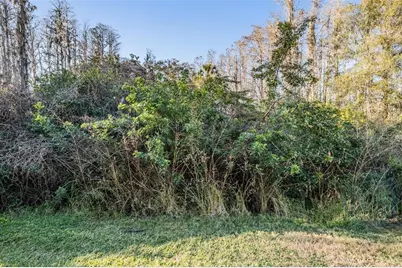 1827 Hammocks Avenue #1827, Lutz, FL 33549 - Photo 17
