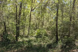 8174 Adrian Dr, Brooksville, FL 34613 - Photo 13