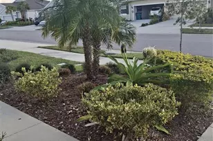 7891 Stonebrook Cir, Wesley Chapel, FL 33545 - Photo 39