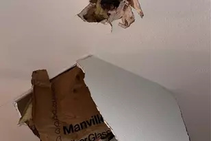 [Address not provided], Tampa, FL 33604 - Photo 21