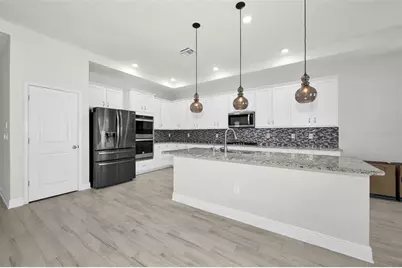 21654 Billowy Jaunt Drive, Land O Lakes, FL 34637 - Photo 9