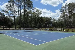 9207 Rockrose Dr, Tampa, FL 33647 - Photo 35