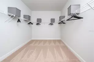 33553 Twilight Sea Place, Dade City, FL 33525 - Photo 15