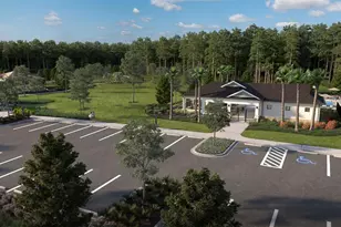 33553 Twilight Sea Place, Dade City, FL 33525 - Photo 31