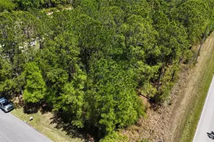 Pine Lands Dr, Wesley Chapel, FL 33544 - Photo 1