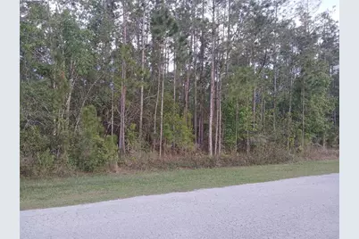 1102 Hidden Palms Drive, Davenport, FL 33897 - Photo 9