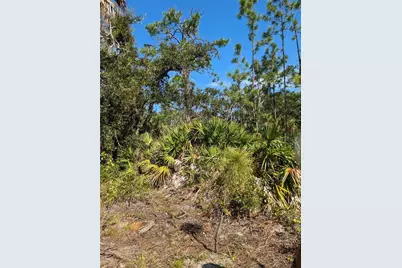 492 Biscayne Drive, Port Charlotte, FL 33953 - Photo 3