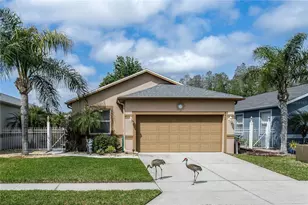 8415 Tarocco Ct, Land O Lakes, FL 34637 - Photo 1