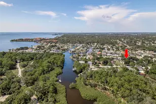 14 Baywood Dr, Palm Harbor, FL 34683 - Photo 1