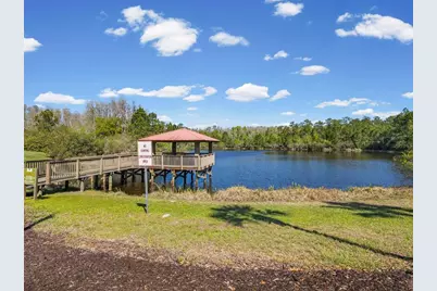 8531 May Port Court, Land O Lakes, FL 34638 - Photo 59