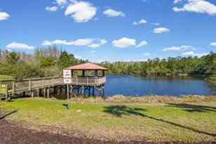 8531 May Port Ct, Land O Lakes, FL 34638 - Photo 59
