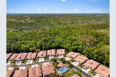 3810 Darston Street, Palm Harbor, FL 34685 - Photo 41