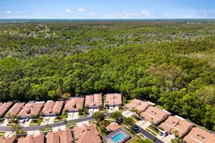 3810 Darston St, Palm Harbor, FL 34685 - Photo 41