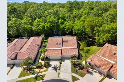 3810 Darston Street, Palm Harbor, FL 34685 - Photo 37