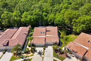 3810 Darston St, Palm Harbor, FL 34685 - Photo 37