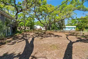 300 President St, Dunedin, FL 34698 - Photo 11