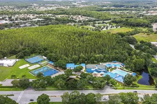 28832 Raindance Ave, Wesley Chapel, FL 33543 - Photo 43