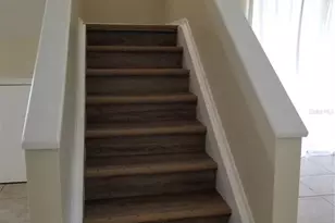 8202 Broward Pl, Temple Terrace, FL 33637 - Photo 13