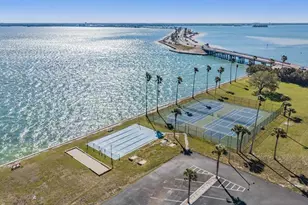 7 Dunoon Pl, Dunedin, FL 34698 - Photo 41