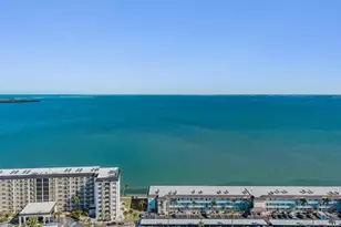 7 Dunoon Pl, Dunedin, FL 34698 - Photo 5