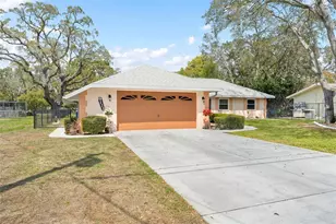9111 Blaine Rd, Spring Hill, FL 34608 - Photo 45