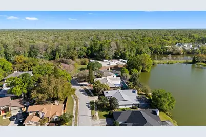 14947 Lake Forest Drive, Lutz, FL 33559 - Photo 51