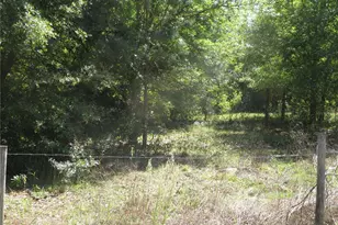 [Address not provided], San Antonio, FL 33576 - Photo 1